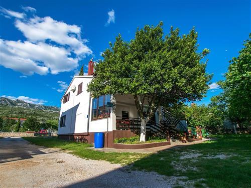 Holiday apartment - 3 persons -  - Dr Franje Tudmana - 23244 - Seline