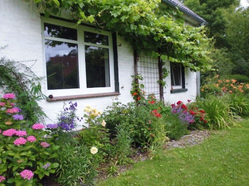 Sommerhus - 5 personer -  - 29487 - Luckau