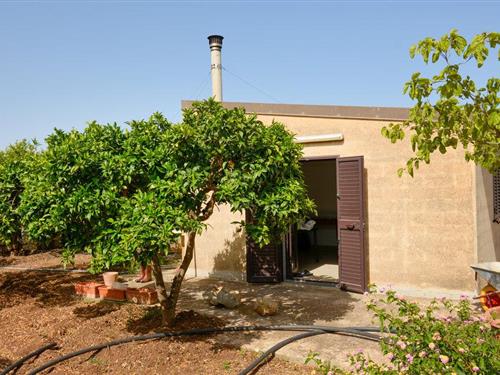 Sommerhus - 4 personer -  - C.da Perrazzitto snc - 97013 - Comiso