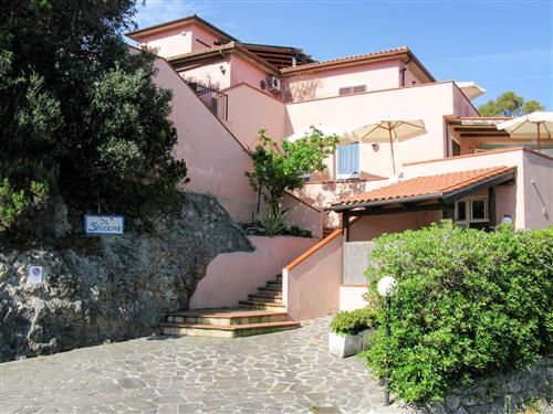 Ferienhaus - 2 Personen -  - Portoferraio - 57037