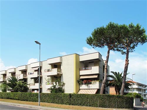 Feriehus / leilighet - 4 personer -  - Viareggio - 55049