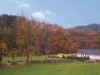 Bilde 4