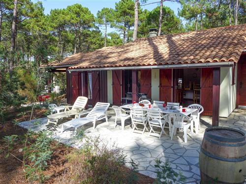 Feriehus / leilighet - 8 personer -  - Maubuisson - 33121