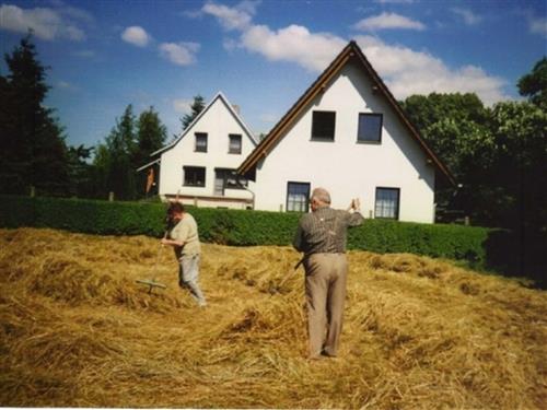 Ferieleilighet - 3 personer -  - OT Gellenthin - 17406 - Usedom