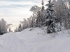 Bild 28 - Aktivitet