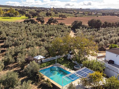 Semesterhus/Semesterlägenhet - 10 personer -  - El Higueron S/N - 11692 - Setenil De Las Bodegas