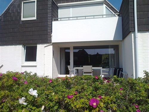 Ferieleilighet - 4 personer -  - Strandweg - 25997 - Hörnum Auf Sylt