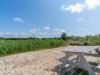 Image 28