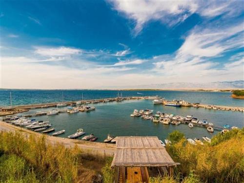 Holiday apartment - 3 persons -  - Privlaka - 23233