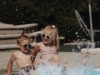 Bild 22
