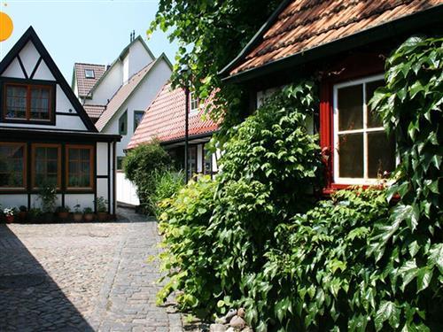 Ferielejlighed - 2 personer -  - Friedrich- Franz Str. - 18119 - Rostock