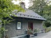 Bild 7