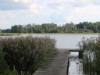 Billede 8