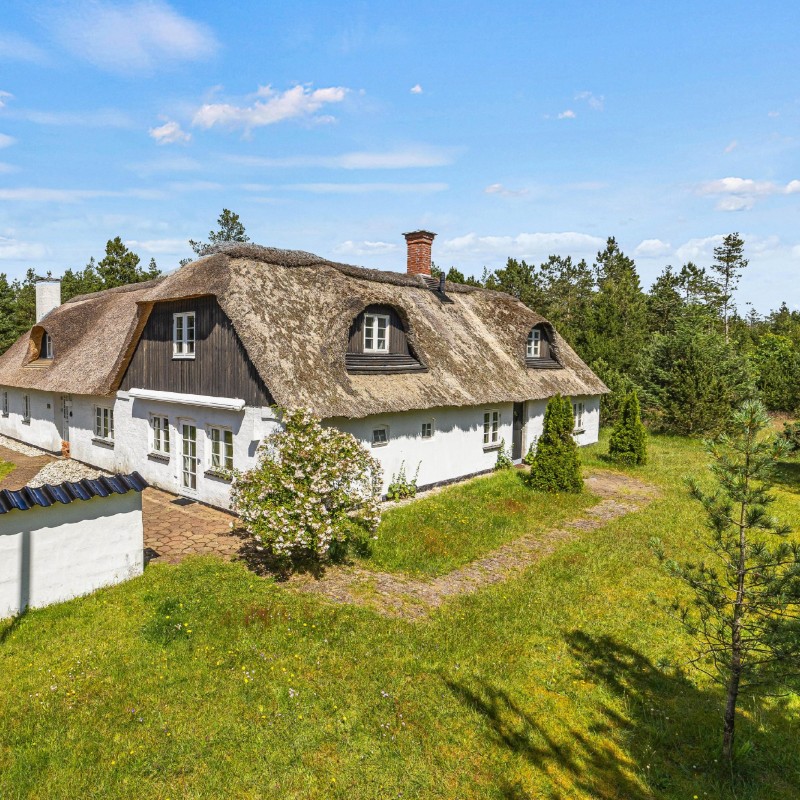 Sommerhus - 8 personer -  - Sandtag - Houstrup - 6830 - Nr. Nebel
