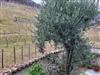 Image 26 - Outside