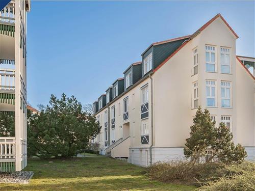 Ferienwohnung - 4 Personen -  - Am Steinberg - 17459 - Koserow