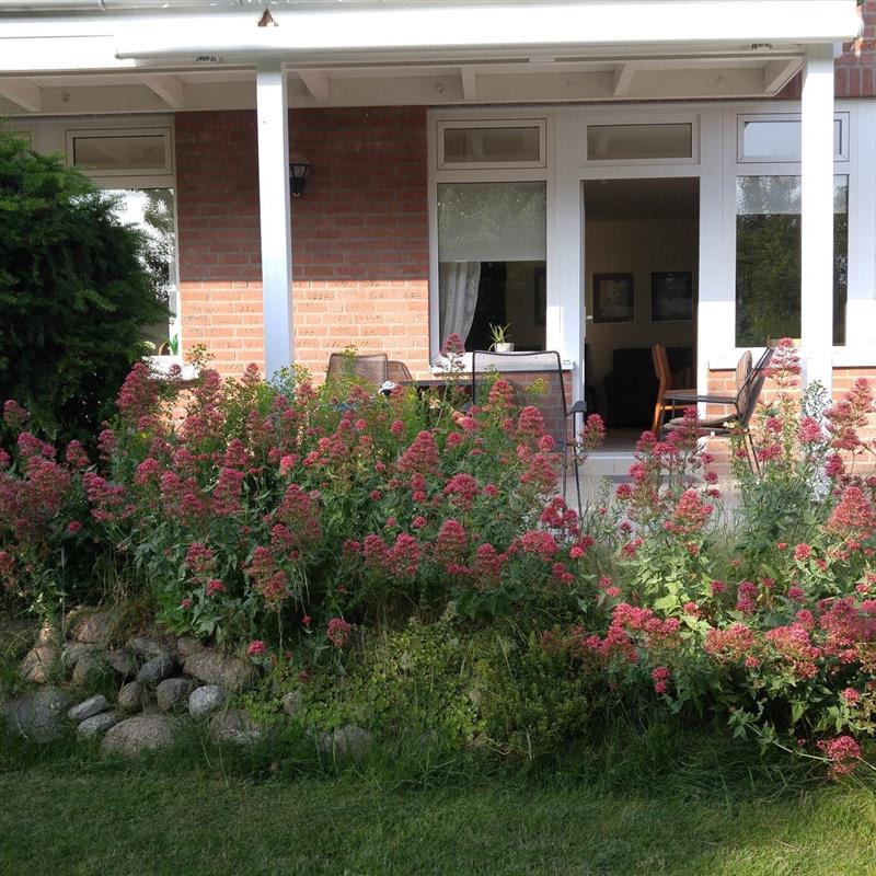 Ferielejlighed - 4 personer -  - Schützenweg - 23746 - Kellenhusen