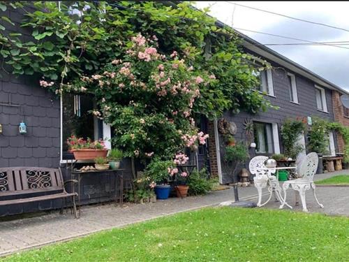 Sommerhus - 8 personer -  - 4760 - Büllingen