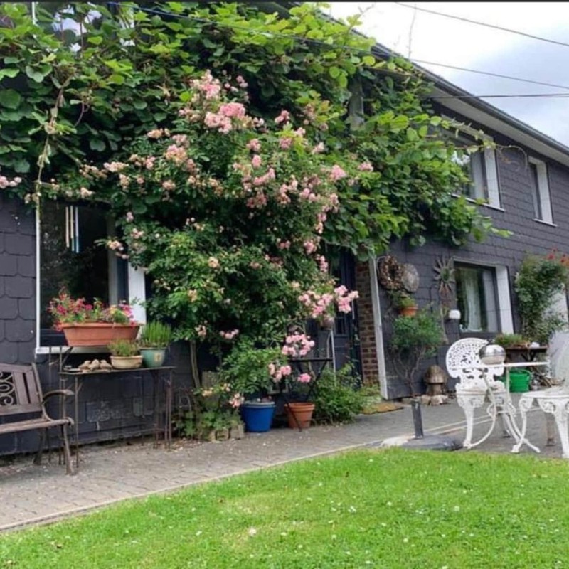 Sommerhus - 8 personer -  - 4760 - Büllingen
