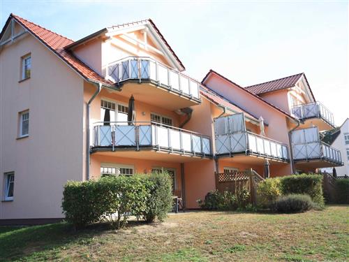 Ferienzentrum - 5 Personen -  - Paul-Kühne-Str. - 17459 - Koserow