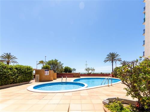 Semesterlägenhet - 6 personer -  - Cunit - 43881