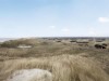 Billede 17