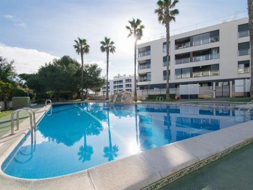Holiday apartment - 4 persons -  - 03188 - La Mata
