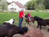 Billede 3