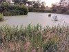Image 32 - View of water