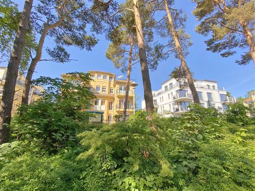 Holiday Home/Apartment - 3 persons -  - Brautsteg - 18586 - Baabe (Ostseebad)