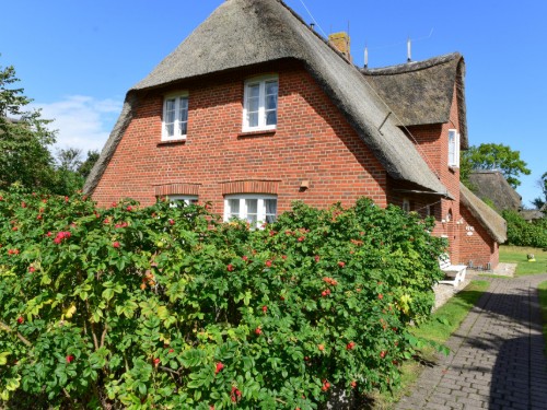 Ferienhaus - 4 Personen -  - Haus Nr - 25938 - Süderende