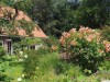 Bild 24