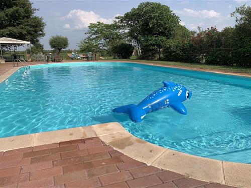 Bondehus - 4 personer -  - 45030 - Pontecchio Polesine