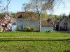Bild 9