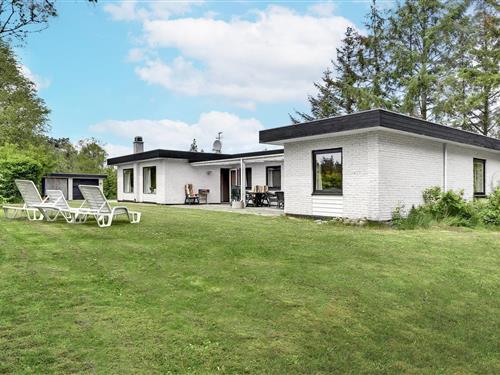 Ferienhaus - 10 Personen -  - Gammelgabvej - Houstrup - 6830 - Nr. Nebel