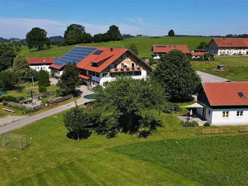 Feriehus - 1 person -  - 88260 - Argenbühl