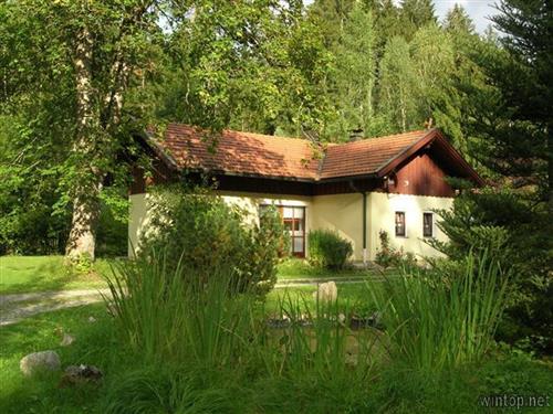 Ferielejlighed - 4 personer -  - Bahnhofstraße 5 B - 94227 - Lindberg