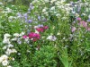 Bild 26 - Innen