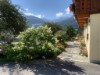 Bild 17