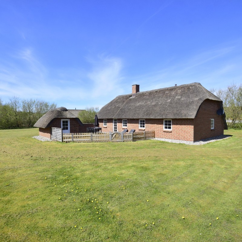 Ferienhaus - 6 Personen -  - Kornbjergvej - Vester Husby - 6990 - Ulfborg