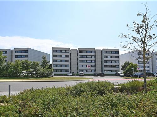 Ferielejlighed - 2 personer -  - Stranddistelweg - 23769 - Fehmarn Ot Burgtiefe