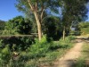 Billede 29