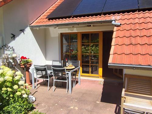 Sommerhus - 4 personer -  - Schwalbenweg - 18374 - Ostseeheilbad Zingst