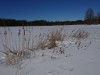 Bild 45 - Ude