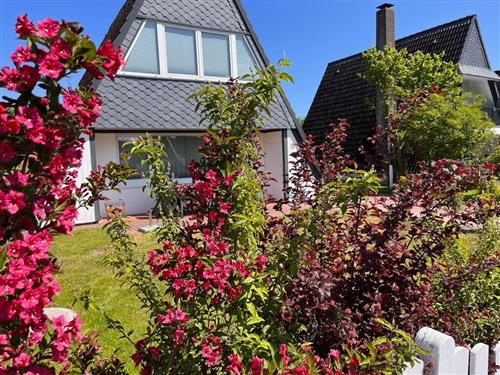 Sommerhus - 4 personer -  - Lerchenweg - 24376 - Kappeln