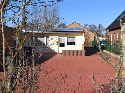 Ferielejlighed - 4 personer -  - Greune Stee Weg - 26757 - Borkum