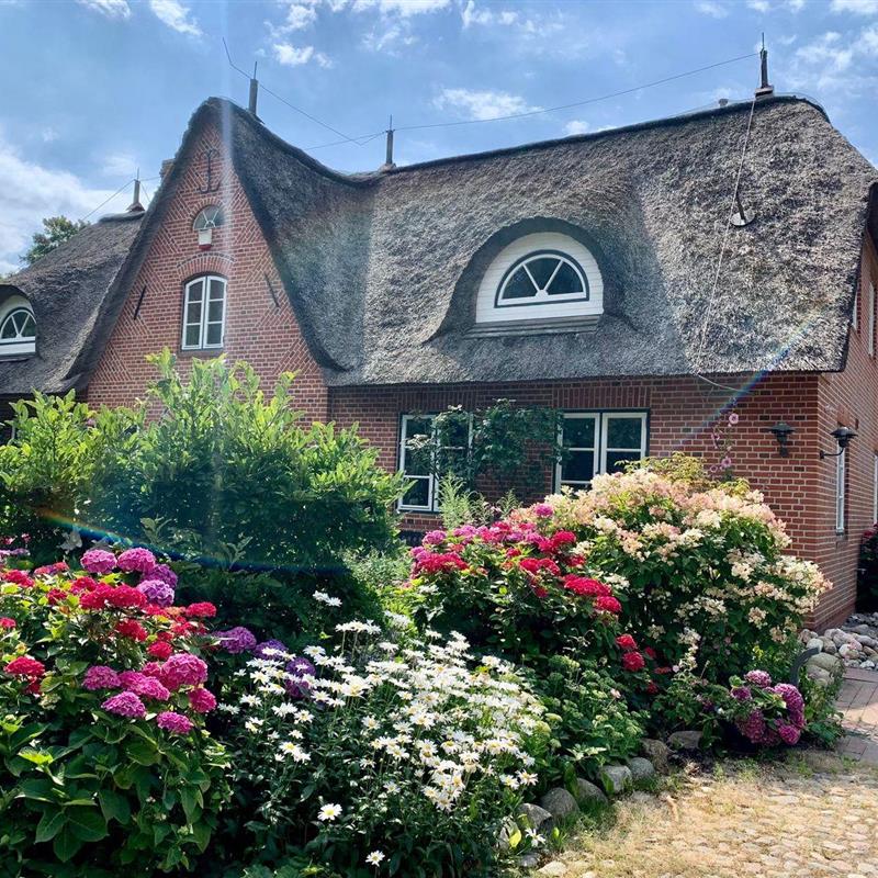 Sommerhus - 4 personer -  - Theodor-Storm-Weg - 25826 - St Peter-Ording