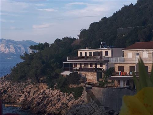 Holiday apartment - 4 persons -  - Gdinj - 21467 - Gdinj-Virak