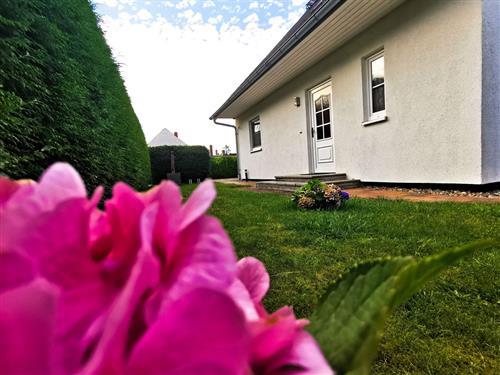 Holiday Home/Apartment - 5 persons -  - Ueckerstr. 34 a - 17373 - Ueckermünde