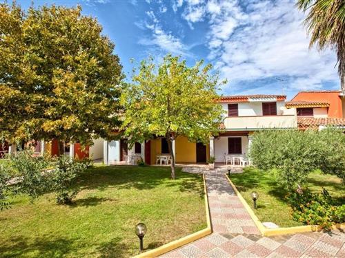 Ferielejlighed - 4 personer -  - 08020 - Budoni